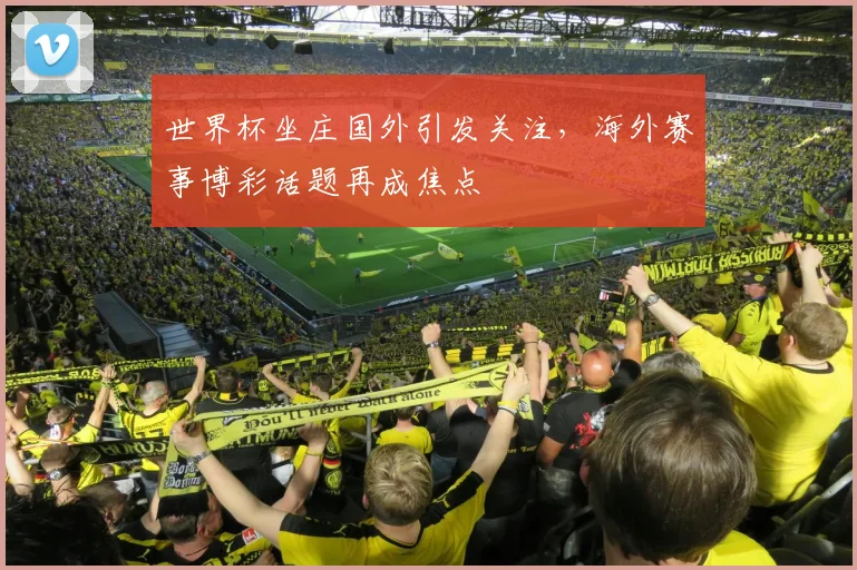 世界杯坐庄国外引发关注，海外赛事博彩话题再成焦点
