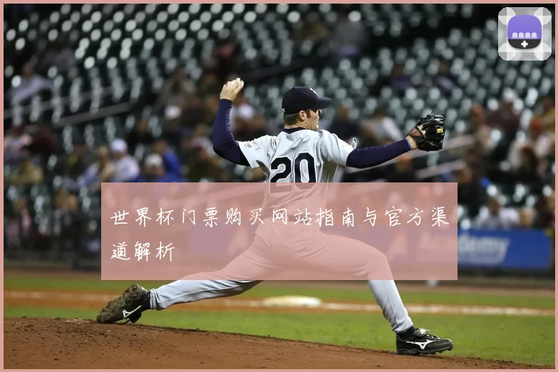 世界杯门票购买网站指南与官方渠道解析