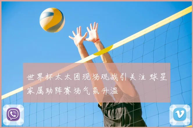 世界杯太太团现场观战引关注 球星家属助阵赛场气氛升温