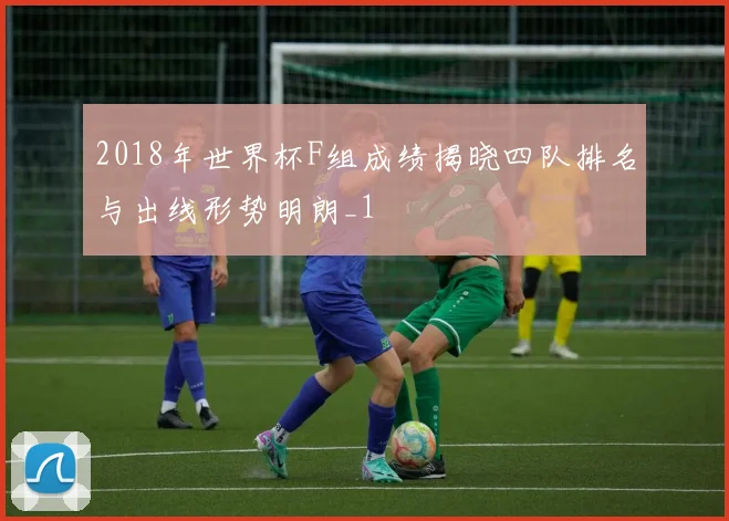 2018年世界杯F组成绩揭晓四队排名与出线形势明朗_1