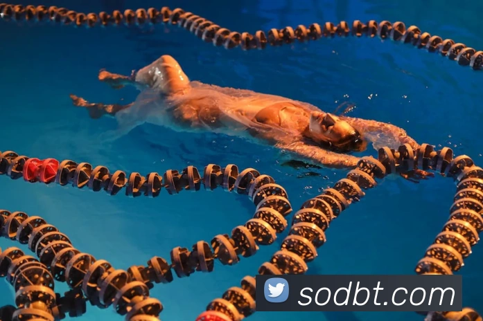 星空官方网站APP 高清赛事图